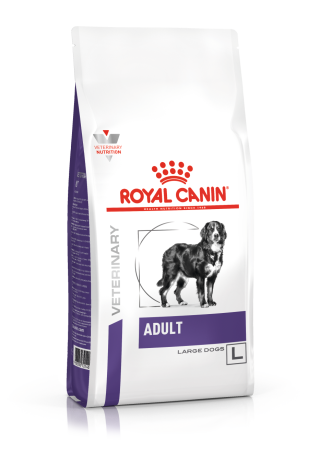 Adult (Large Dogs)